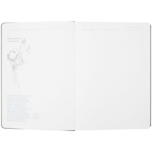 Ежедневник «История изобретений», недатированный, серый фото 4