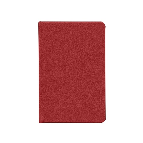 Ежедневник Daily Mini, недатированный, красный фото 3