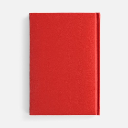 Ежедневник Baza, датированный, красный фото 2 Ежедневник Baza, датированный, красный фото 2