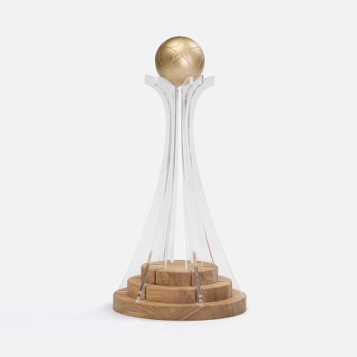 Кубок Everball c 3D-элементами фото 2