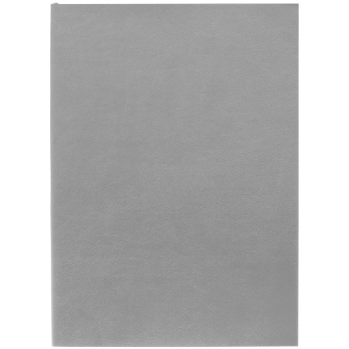Ежедневник Flat Light, недатированный, серый фото 2