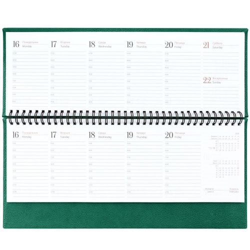 Планинг Sagrin, датированный, зеленый фото 3 Планинг Sagrin, датированный, зеленый фото 3