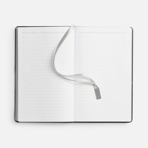 Ежедневник Petrus, недатированный, черный с серебром фото 4