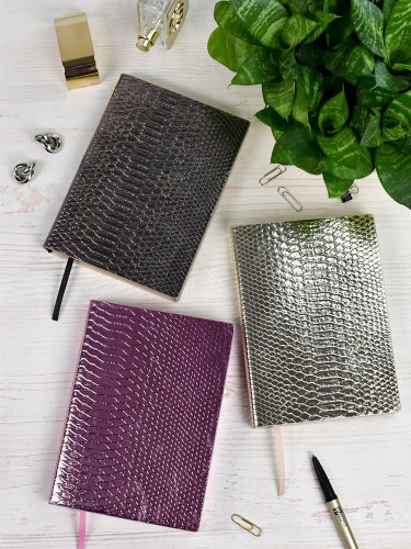 Ежедневник Anaconda, недатированный, серебристый фото 5