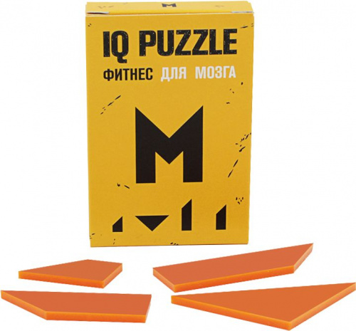  IQ Puzzle Letter 