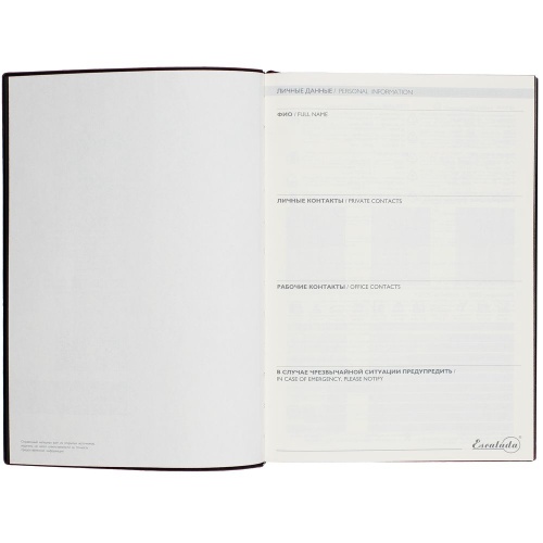 Ежедневник Avila, недатированный, коричневый фото 3