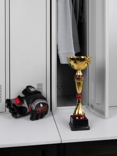 Кубок Awardee, средний, красный фото 3