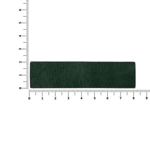 Лейбл кожаный Pasek, зеленый фото 2 Лейбл кожаный Pasek, зеленый фото 2