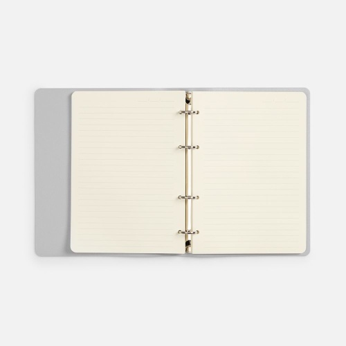 Ежедневник Ringo, недатированный, серебристый фото 2 Ежедневник Ringo, недатированный, серебристый фото 2