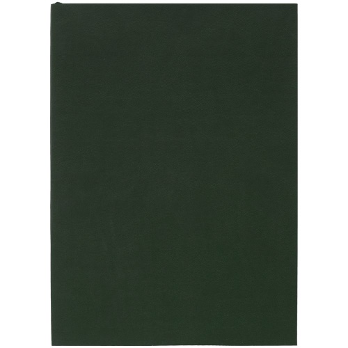 Ежедневник Flat Light, недатированный, зеленый фото 2