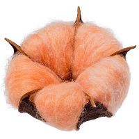 Цветок хлопка Cotton, оранжевый