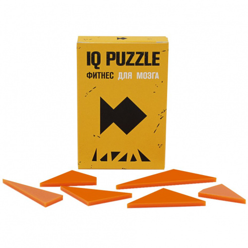  IQ Puzzle, 