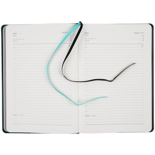 Ежедневник Alanis, недатированный, черный с голубым фото 4 Ежедневник Alanis, недатированный, черный с голубым фото 4
