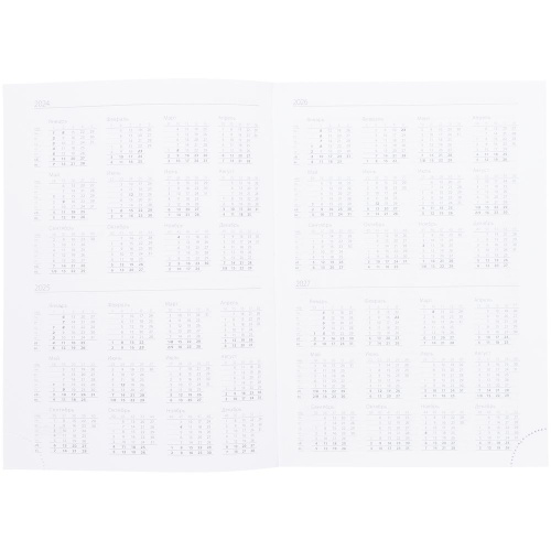 Ежедневник Vivian, недатированный, оранжевый фото 3 Ежедневник Vivian, недатированный, оранжевый фото 3