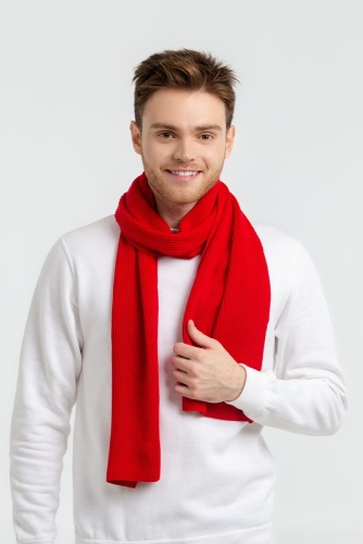 Шарф Life Explorer, ярко-красный фото 3 Шарф Life Explorer, ярко-красный фото 3