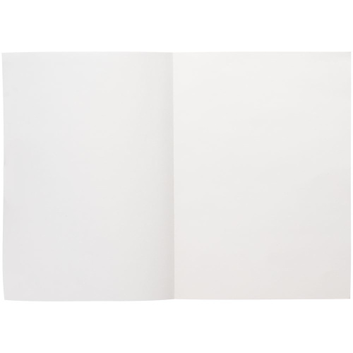Ежедневник Flat Light, недатированный, черный фото 5