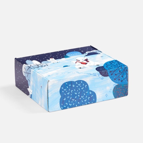 Набор «Праздничный полюс» фото 4