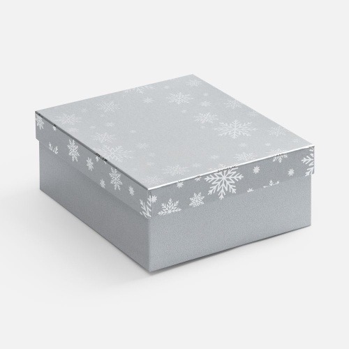 Коробка Wintry, серебристая Коробка Wintry, серебристая