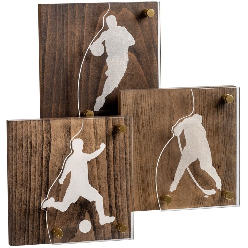 Награда Celebration, баскетбол фото 7