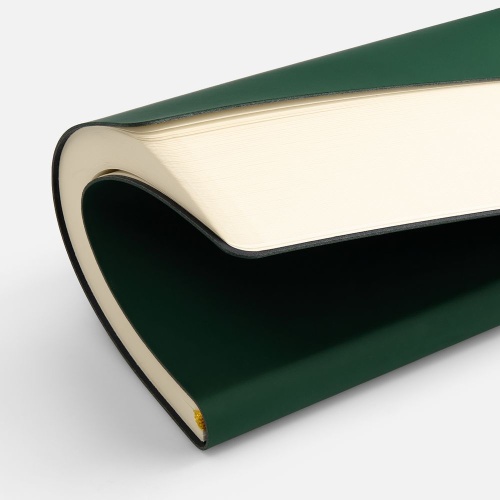 Ежедневник Flex Shall New, недатированный, зеленый фото 3 Ежедневник Flex Shall New, недатированный, зеленый фото 3