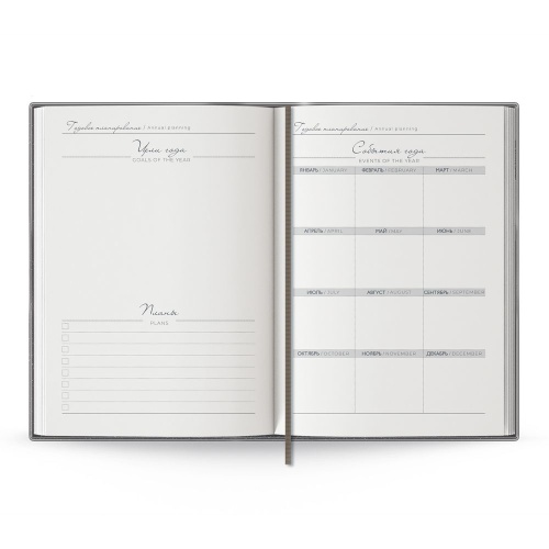 Ежедневник Anaconda, недатированный, серебристый фото 4
