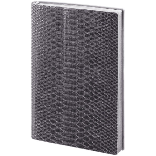 Ежедневник Anaconda, недатированный, серебристый фото 2