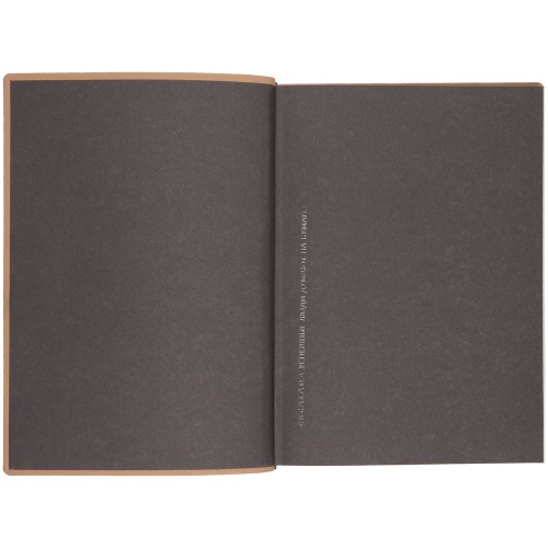 Ежедневник Anaconda, недатированный, серебристый фото 3