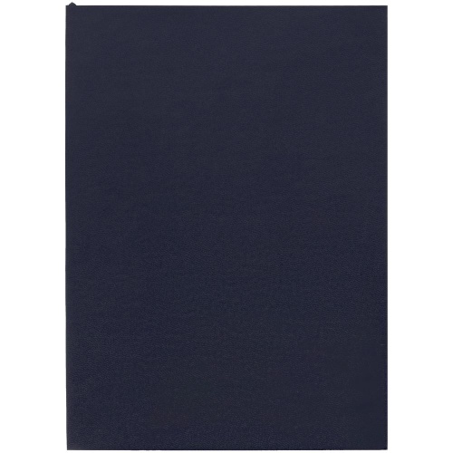 Ежедневник Flat Light, недатированный, черный фото 2