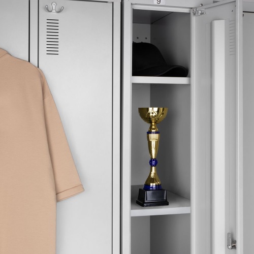 Кубок Awardee, малый, синий фото 4