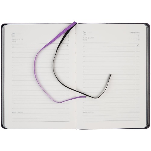 Ежедневник Alanis, недатированный, черный с фиолетовым фото 3 Ежедневник Alanis, недатированный, черный с фиолетовым фото 3
