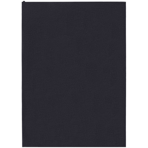 Ежедневник Flat, недатированный, черный фото 2