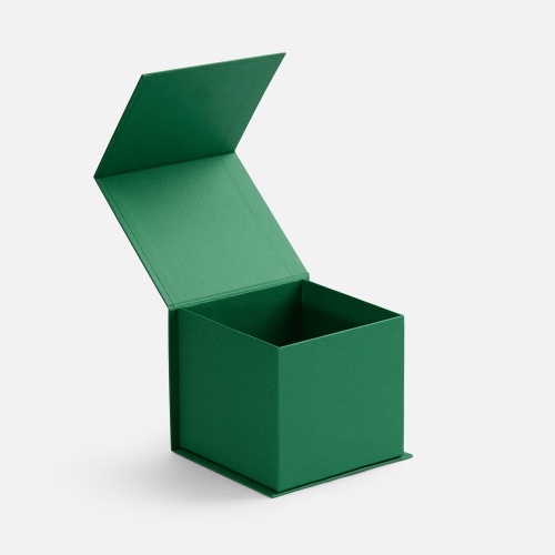 Коробка Alian, зеленая фото 2 Коробка Alian, зеленая фото 2