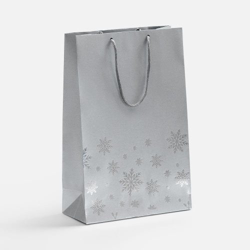 Пакет Wintry, серебристый Пакет Wintry, серебристый