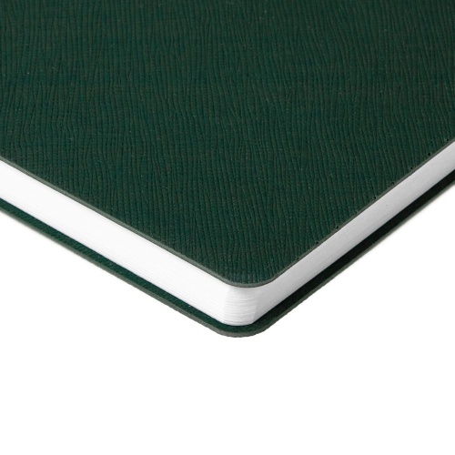 Ежедневник Flexpen Bright, недатированный, зеленый фото 3 Ежедневник Flexpen Bright, недатированный, зеленый фото 3