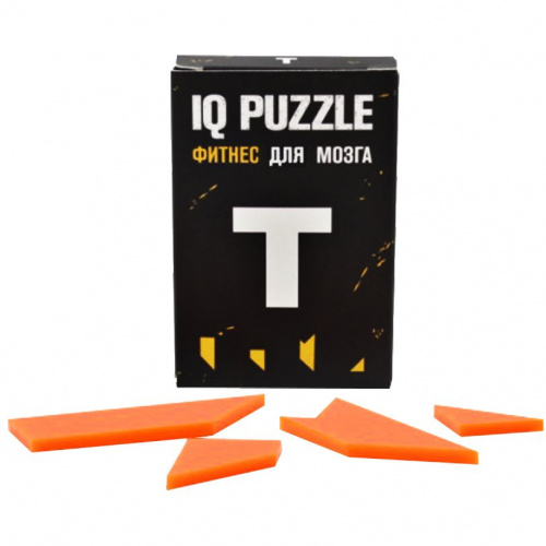  IQ Puzzle Letter 