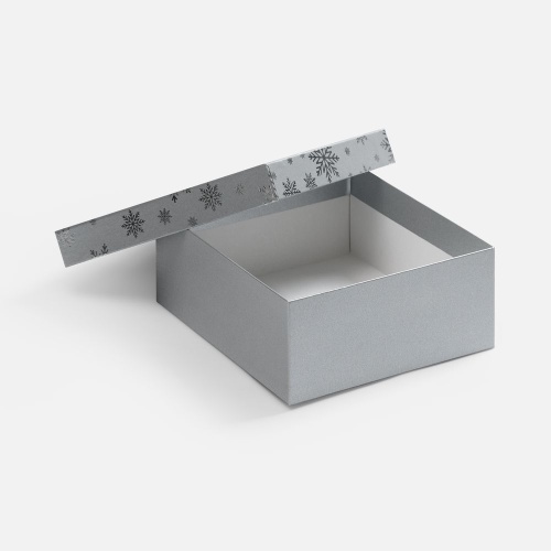 Коробка Wintry, серебристая фото 2 Коробка Wintry, серебристая фото 2