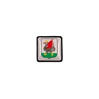 Шильдик на резинку с наклейкой «Казань», черный