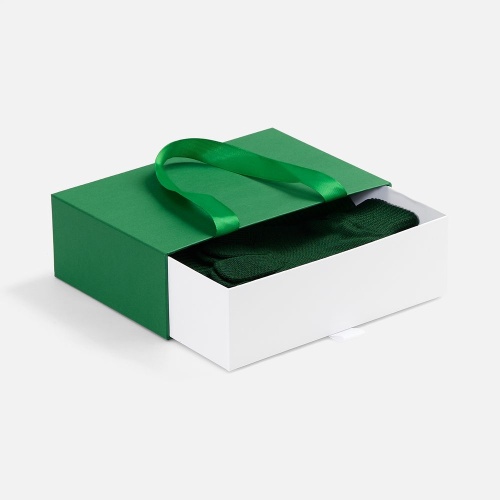 Коробка Regalis, S, зеленая фото 4