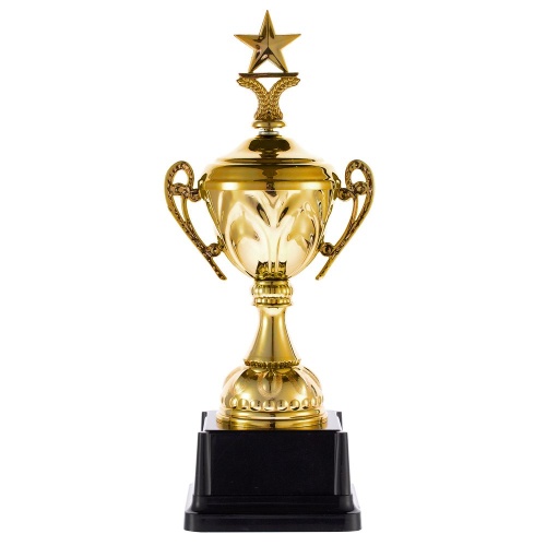 Кубок Top Star, золотистый фото 2