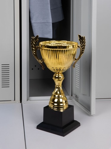Кубок Spica, большой, золотистый фото 3