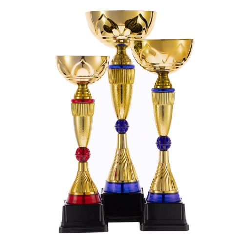Кубок Awardee, средний, красный фото 5