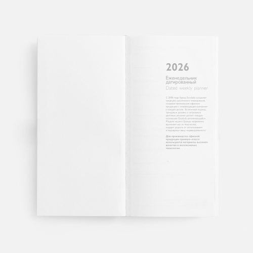 Еженедельник Baza, датированный, серый фото 3 Еженедельник Baza, датированный, серый фото 3