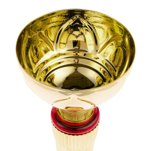 Кубок Awardee, средний, красный фото 4