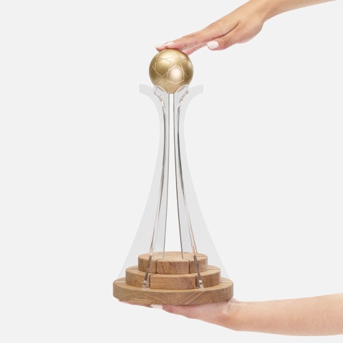 Кубок Everball c 3D-элементами фото 3
