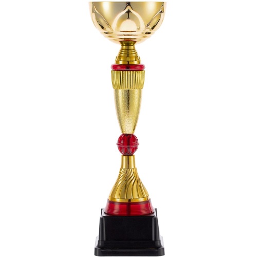 Кубок Awardee, средний, красный фото 3
