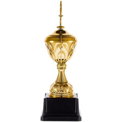 Кубок Top Star, золотистый фото 3